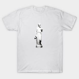 Greek ancient woman statue T-Shirt